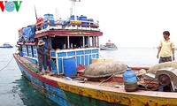Pescadores de Quang Ngai protegen soberanía vietnamita