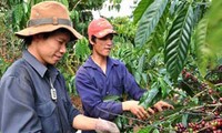 Tratado de TPP: motivación para la renovación del sector agrícola de Vietnam