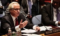 Rusia asume presidencia rotativa del Consejo de Seguridad de la ONU