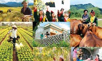 Reducción de pobreza, logro más destacado de Vietnam en garantía de derechos humanos
