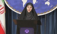 Irán refuta información sobre el envío de sus tropas a Iraq