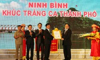 Construir la ciudad de Ninh Binh como centro cultural e histórico