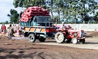 Agricultores donan tierras para juntar manos en la mejora de infraestructura vial 