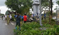 Localidades vietnamitas se recuperan del tifón Rammasun