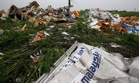 Objetivos políticos detrás de la tragedia del MH17