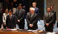 Consejo de Seguridad de ONU por investigación independiente de vuelo MH 17