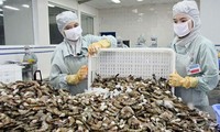  Crece exportación de camarón de Vietnam