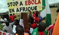 OMS diseña una estrategia para combatir el Ébola