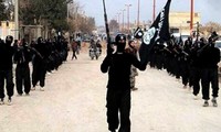 Congresistas de EEUU exhortan a medidas de enfrentamiento al Estado Islámico
