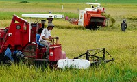 Bac Ninh acelera la mecanización de la producción agrícola