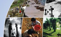 Completa Vietnam evaluación sobre protección del medio ambiente 