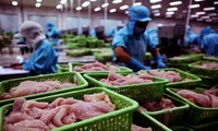 Vietnam: el mayor suministrador de pescados para Colombia