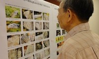 Vietnam impulsa trabajos arqueológicos en archipiélago Truong Sa