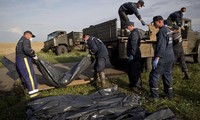 Identificadas 251 víctimas del derribado vuelo MH17 en Ucrania