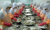 Impugnan arancel antidumping estadounidense al camarón vietnamita   