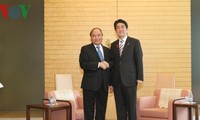 Aprecia Premier japonés papel de Vietnam en su politica  exterior 