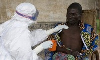 Endurecen varios países medidas de control del ébola