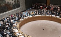 España y Venezuela, nuevos miembros no permanentes del Consejo de Seguridad de ONU