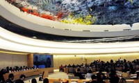 Asamblea General de la ONU elige 15 nuevos miembros para Consejo de Derechos Humanos