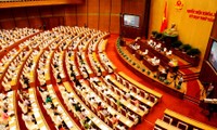 Cambios dirigidos a los seres humanos en las enmendadas leyes de Vietnam