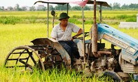 Maximiza Vietnam potencialidades para desarrollo socioeconómico