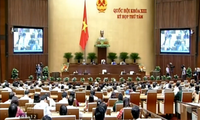 Revisa Parlamento vietnamita cumplimiento de los objetivos de desarrollo 