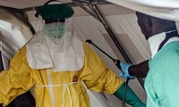 Publica OMS recomendaciones en el tratamiento del ébola