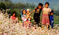 La maravillosa belleza de flores de alforfón en Si Ma Cai