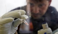 Se aplicarán medicamentos contra Ébola en Africa Occidental