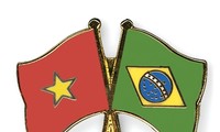Baten Vietnam y Brasil record de intercambio comercial 