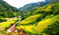 Inauguran programa turístico: “Recorrido por zonas patrimoniales Viet Bac” 