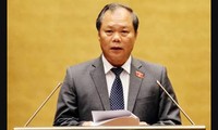 Ratifica Parlamento vietnamita Ley de Aviación Civil