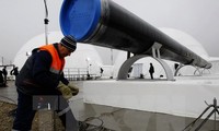 Reanudación del gasoducto “Flujo del Sur” requiere esfuerzos comunes