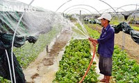 Distrito Hoa Vang, ciudad Da Nang, un ejemplo en la construcción del nuevo campo