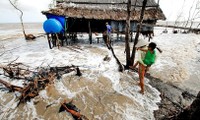 Determinado Vietnam a lograr nuevo marco jurídico sobre cambio climático 
