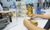 Banco Estatal de Vietnam reajusta tasa de cambio 