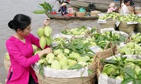 Construyen marcas de frutas exportables en Delta de Río Mekong