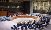 ONU aprueba una resolución de apoyo al acuerdo de paz en Ucrania
