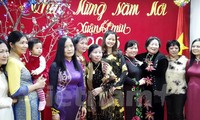 Compatriotas de Vietnam en diferentes países celebran el Tet 2015