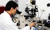 Reestructuración científico-tecnológica, tarea importante de Vietnam en 2015