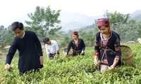 Prioriza Vietnam inversiones para el desarrollo socioeconómico en zonas de minorías étnicas