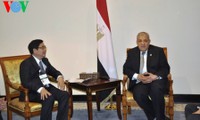 Vietnam está dispuesto a compartir experiencias de desarrollo con Egipto
