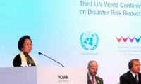Vietnam comparte experiencias de prevención y lucha contra desastres naturales 