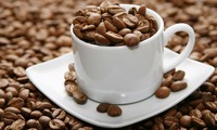 Vietnam por desarrollar y construir marca de café nacional