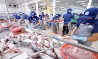 Anuncia Brasil reanudación de compras del pez Tra de Vietnam