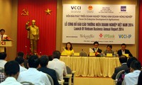 Publican informe anual sobre las empresas de Vietnam 2014 
