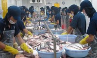 Promociona Vietnam pescados sin escamas en mercado europeo