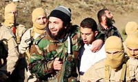 IS declaró debatir un avión sirio