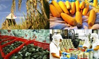 Aceleran negociaciones de acuerdos comerciales para la exportación agrícola