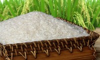 Planean convertir el arroz vietnamita en marca de primer orden del mundo 